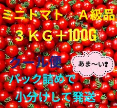 ミニトマト(サンチェリーピュア)　Ａ級品  ３ｋｇ＋100g