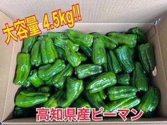 朝どれ新鮮✨産地直送✨高知県産ピーマン13キロ送料込み！安心安全の減農薬栽培 朝どれ新鮮✨産地直送✨高知県産ピーマン13キロ送料込み！安心安全の減