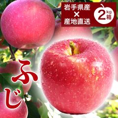 岩手県産 産地直送 サンふじ りんご 約2kg 送料無料 りんご 果物