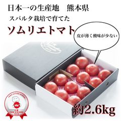 【極み】受賞歴３回！ソムリエトマト２.６kg（１２玉～２０玉)