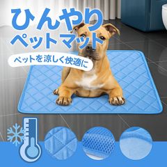 Item thumbnail for item c345a1c6-425e-4b1c-8fde-86e3d84264df