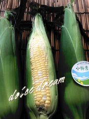 ★7月11.12日頃　クール発送　果汁たっぷりフルーツコーン🌽ドルチェドリーム6.７本★渥美半島〜