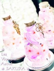 【桜 ハーバリウム LED付★USBアダプターSet★ギフトBOX入/M★5色】