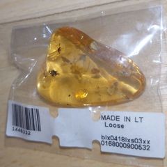 【一点モノ】【レア】虫入り琥珀【Amber】