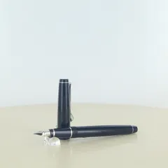 パイロット　エラボー　樹脂軸　SEF nibsカスタム　長原幸夫　調整品　万年筆 2025年最新】パイロット 万年筆 エラボーの人気アイテム - メルカリ