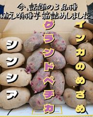 美味しいジャガイモの定番『インカのめざめ』『 デストロイヤー / グランドペチカ』に加え　マツコの知らない世界 じゃがいもの世界で紹介された品種 『シンシア』今、話題の3品種をセットにしました。