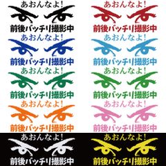 ステッカー 【 あおんなよ 前後バッチリ撮影中 】 選べる10色 縦8.5ｃｍ×横18ｃｍ おもしろい かっこいい オリジナルステッカー ドラレコ ドライブレコーダー 煽り運転防止 カッティングステッカー