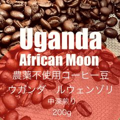 農薬不使用コーヒー豆200g　ウガンダ　ドンキーナチュラル