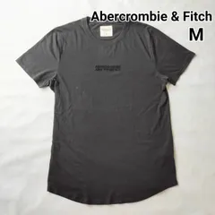 Abercrombie&Fitch　アバクロンビーアンドフィッチ　メンズ　Tシャツ　半袖　刺繍　チャコールグレー　濃グレー　M