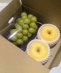 み◯様専用