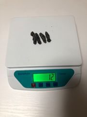 工場直売 関西産A級品 乾燥なまこSS 4本セット