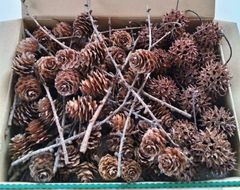 松ぼっくり カラマツ(枝付き) もみじバフウの実 リース クリスマス お正月 飾り