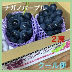 長野県産　ナガノパープル　3房　約1.8kg　クール便発送 家庭用》ナガノパープル（粒パック）長野県須坂市産・常温便