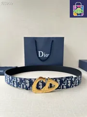 【今日特価】Dior CD30 マルチカラーベルトバックル-1