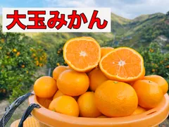 [大特価]有田みかん10kg!!大玉.訳あり品.農家直送