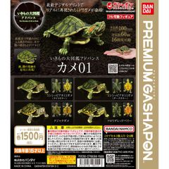 BANDAI☆PREMIUM GASHAPON☆いきもの大図鑑アドバンス カメ01