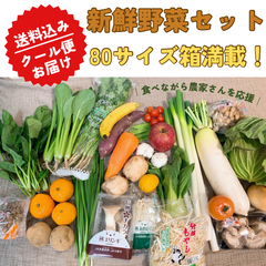 【2022年度 国内No.1獲得！】 クール便 市場直送！ 国産 野菜セット 詰め合わせ 80サイズ箱満載 【福袋】玉ねぎ にんじん じゃがいも みかん 桃 シャインマスカット