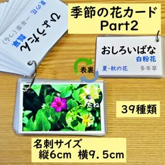 季節の花カード　Part２　　四季の学習に　小学校受験に