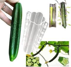 Item thumbnail for item e2a40998-f3a4-4ca9-a58f-389427c24260