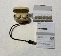 ソニー(SONY) ワイヤレスノイズキャンセリングステレオイヤホン LinkBuds S WF-LS900N
