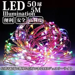 LEDイルミネーション ジュエリーライト USB式 便利 10m 100球 ICチップ付き レインボー ワイヤー クリスマスライト