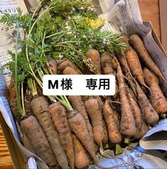 M様　専用