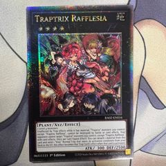 遊戯王【EU版】銀幕の鉄壁 ウルトラ RP02❗️ おすすめ商品