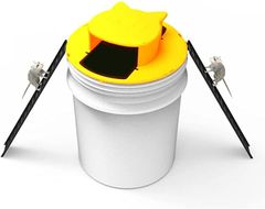 Item thumbnail for item c75d78db-d09d-4505-be9d-e2e088fcb83b