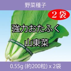 野菜種子 ECJ 強力おたふく山東菜 0.55g (約200粒) x 2袋
