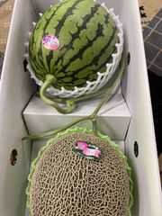 【産地直送】肥後グリーンメロンと小玉スイカの詰め合わせ