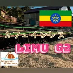 メルカリ便発送‼︎　パリー　オリザバ　鉢付き発送‼︎ 2025年最新】トランカータ オリザバの人気アイテム - メルカリ