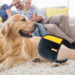 2個セット 猫の毛除去手袋 ペット犬猫グルーミンググローブ ペット用静電毛取り手袋 除毛ブラシ 猫の毛取り グルーミング手袋 両面メッシュ 犬用抜け毛クリーナー 毛抜け用手袋 ツーウェイブラシ 除毛ブラシ バス用 多機能
