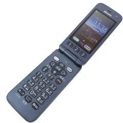 F-01M本体＆充電器付き＆首さげストラップ＆らくらくホン F-01M本体＆充電器付き＆首さげストラップ＆らくらくホン F-01M