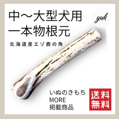 【クーポン発行中】中〜大型犬用　一本物　根元　北海道産鹿の角　犬のおもちゃ　鹿の骨　E