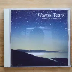 浜田省吾 Wasted Tears LP盤　帯付き　ポストカード無し 浜田省吾 Wasted Tears LP盤 帯付き ポストカード無し Amazon