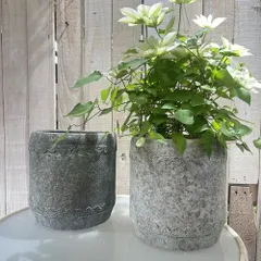 ラダンテルポットSDGY (内径Φ160mm) 【友膳】【寄せ植え】【鉢】【ポット】【プランター】【ブリキ】【アンティーク】(s-224660)のサムネイル
