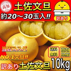 土佐文旦 10kg サイズお任せ (約20〜30玉）訳あり 高知県産 10キロ