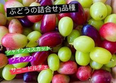 山梨県産 富士の輝・マイハート組合せ - メルカリ