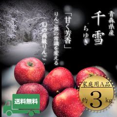 青森県産  千雪 (ちゆき)  りんご【ご家庭用A品3kg】【送料無料】【産地直送】リンゴ 林檎