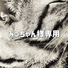 ♡みっちゃん様専用ページ♡