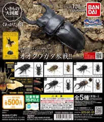 2024年最新】トカラノコギリクワガタの人気アイテム - メルカリ