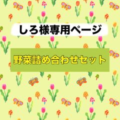 しろ様‼️野菜詰め合わせセット‼️おまかせ