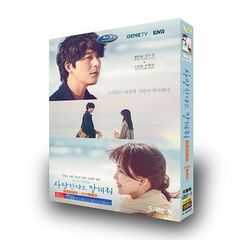 愛していると言ってくれ 日本語字幕あり 韓国ドラマ  DVD 全話収録