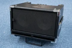2024年最新】phil jones bass cubの人気アイテム - メルカリ