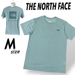 THE NORTH FACE ザノースフェイス メンズ Tシャツ M 半袖 カットソー バックプリント NT32087  ゴールドウイン ブルーグレー系  (E035)