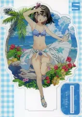 【中古】同人アクセサリー・小物系 【オリジナル】ビーチしずく特大アクリルフィギュア(カントク) /5年目の放課後のサムネイル