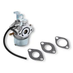 2026年最新】ロビンエンジンの人気アイテム - メルカリ