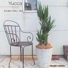 2026年最新】イトユッカの人気アイテム - メルカリ