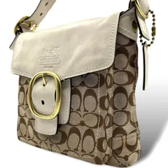 2025年最新】コーチソーホーシグネチャーキャンバスの人気