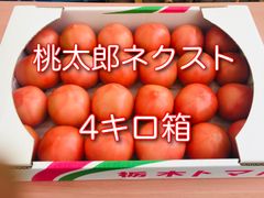 甘熟！桃太郎！🍅4キロ箱！農家より直送！送料込み🚛クール便❄